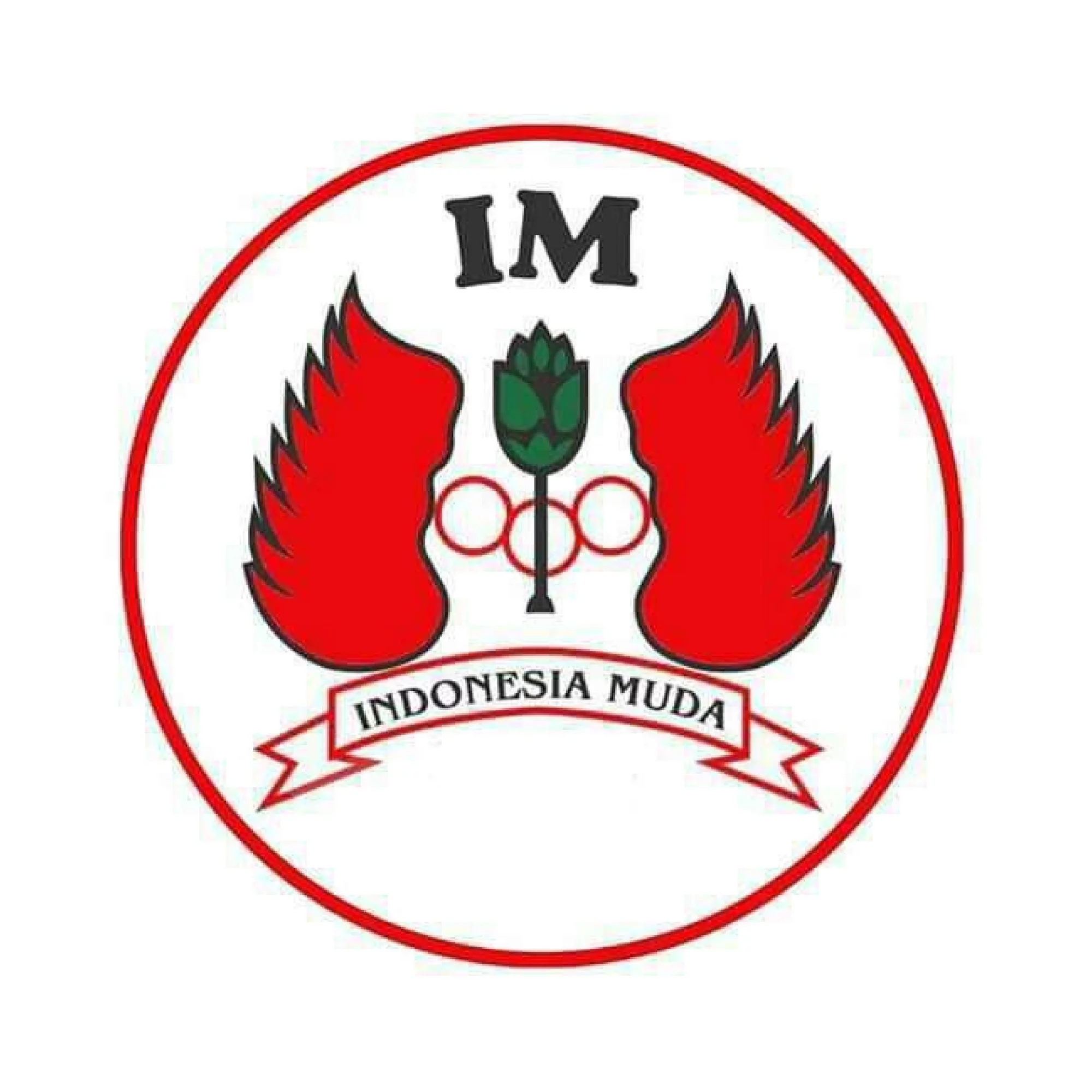 INDONESIA MUDA