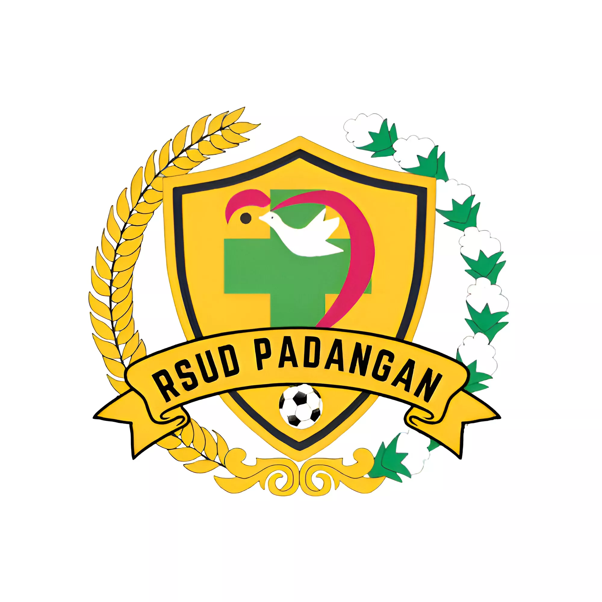 RSUD Padangan